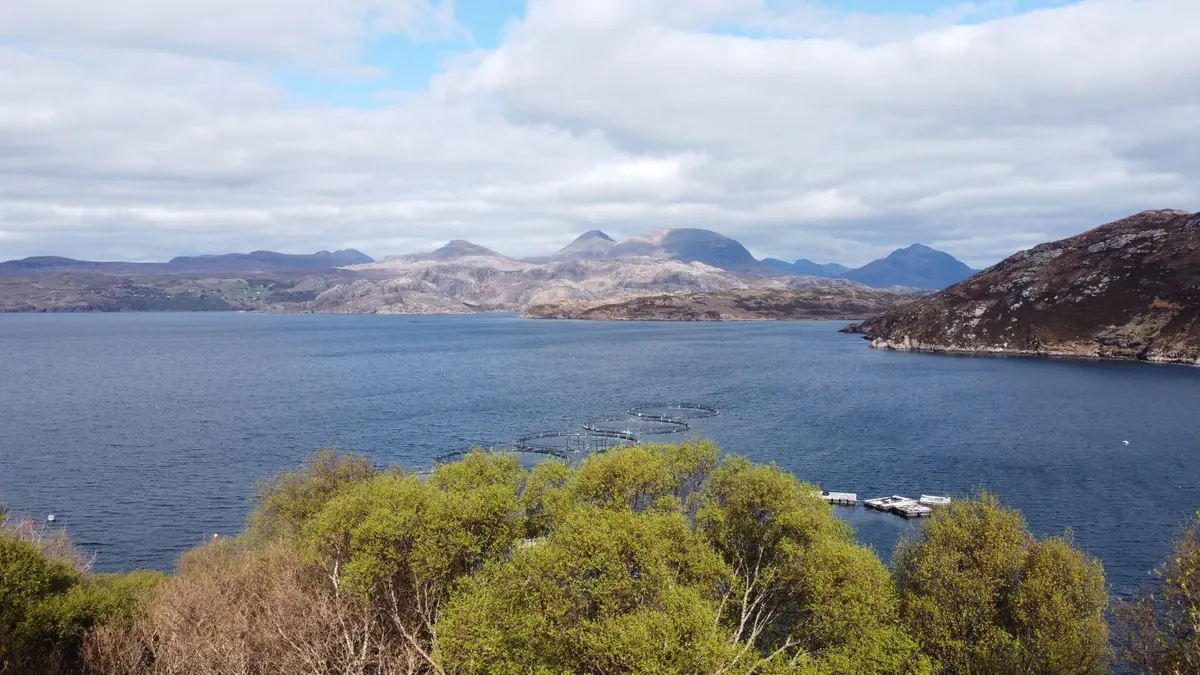 Wild Swimming in Scottish Lochs: A Safety Checklist for Cold Water Beginners